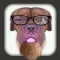 Face Booth Bash