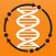 BioCyc Pathway/Genome DBs