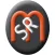 SR Mecatronic ASR System