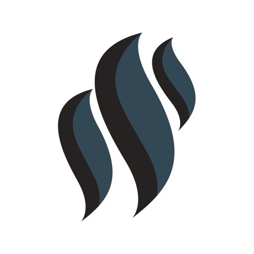 Carson Consulting Corp Carson Consulting Corp