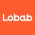 Lobab: Book Summaries, Library