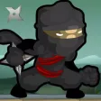 Ninja Vs Zombies - Village Highway