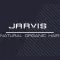 Jarvis Natural Organic Hair