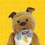 Chew's Waggy Tails