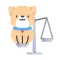 Your BMI: Body Mass Index Calc