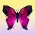Jigsaw puzzle by number fun