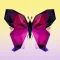 Jigsaw puzzle by number fun