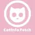 CatInfo Fetch