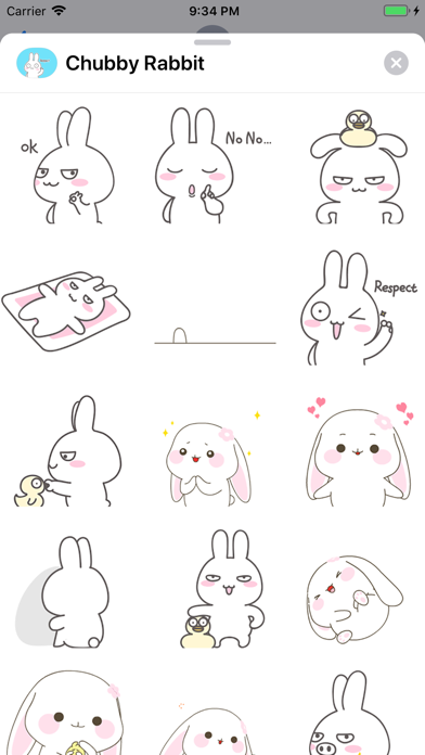 Chubby Rabbit Animated Screenshots