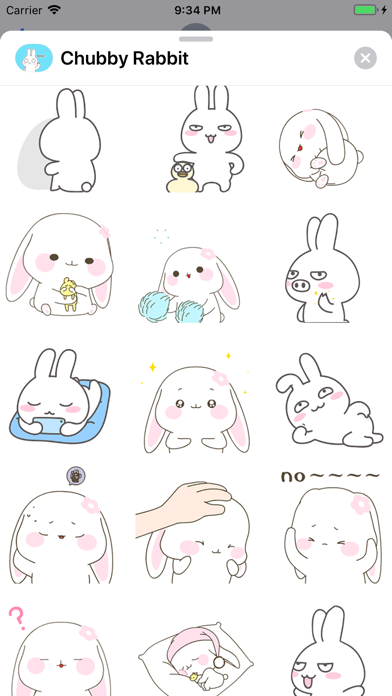 Chubby Rabbit Animated Screenshots