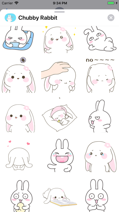 Chubby Rabbit Animated Screenshots