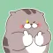 Chubby Cat Animated Stickers