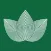 Zen Leaf