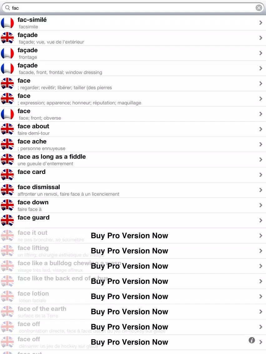 Offline French English Dictionary Translator for Tourists, Language Learners and Students iPad Screenshots