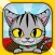 Ixy Bengal's Box Jump