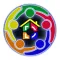 Group Director