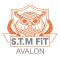 STM