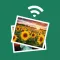 Photo Transfer + free
