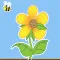 Naming Parts of Plants&Animals