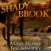 Shady Brook - A Dark Mystery Text Adventure