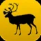 CTA Wildlife