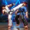 Street Karate: Fighting Game