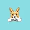 DogCalc - Memo Calculator & Dog Stickers