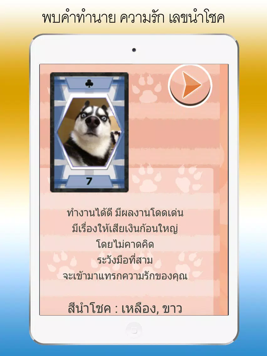 ดูดวง ไพ่สัตว์โลกน่ารัก iPad Screenshots