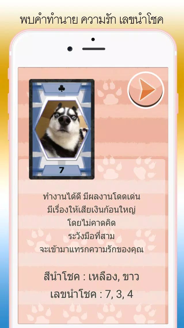 ดูดวง ไพ่สัตว์โลกน่ารัก Screenshots