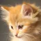 Animal Sounds Simple App