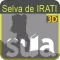 Selva de Irati SUA