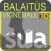 Balaïtous - Vignemale 1.25 000