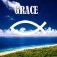 Grace Christian Little River