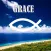 Grace Christian Little River