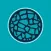 Rock Branch Church App