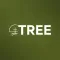 Tree of Life Church, NB