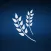 Harvest Mission Bible Church