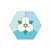 Christ Our Peace Anglican