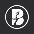 Branch Church Peabody