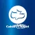 Calvary Chapel Salmon