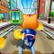 Subway Cat Hero
