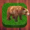 Fun Animal photos