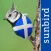 All Birds Scotland Photo Guide