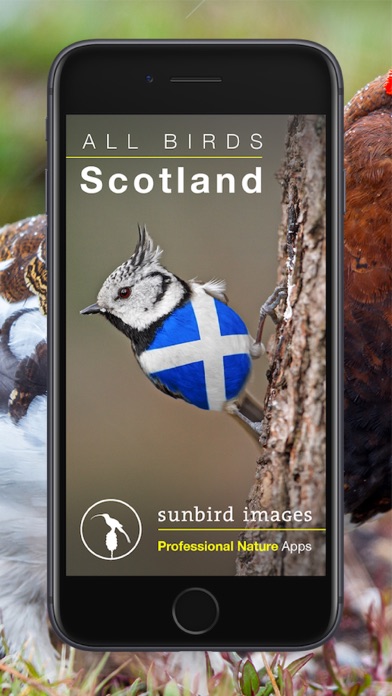 All Birds Scotland Photo Guide應用截圖