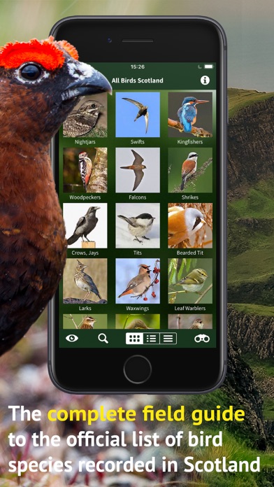 All Birds Scotland Photo Guide應用截圖