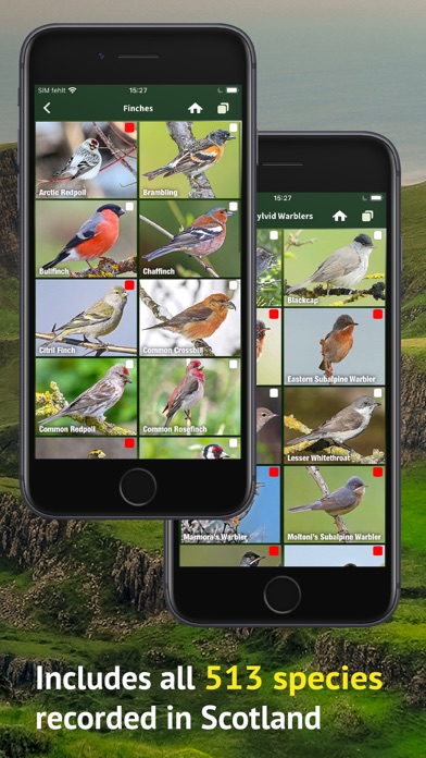 All Birds Scotland Photo Guide應用截圖