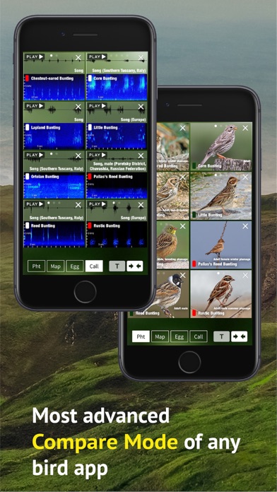 All Birds Scotland Photo Guide應用截圖