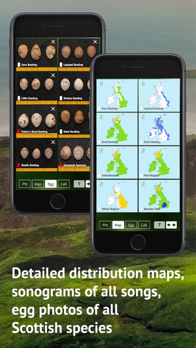 All Birds Scotland Photo Guide應用截圖
