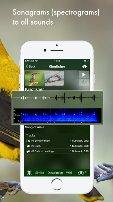 BIRD SONGS Europe North Africa Screenshots