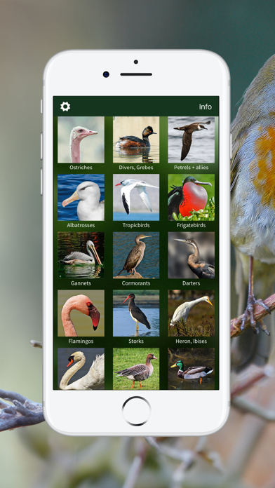 BIRD SONGS Europe North Africa Screenshots